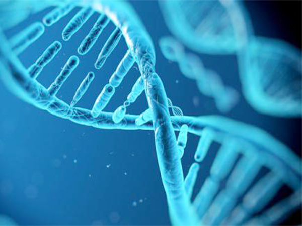 绵阳DNA亲子鉴定需要什么