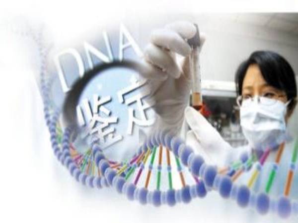 绵阳江油DNA亲子鉴定你怎么看？