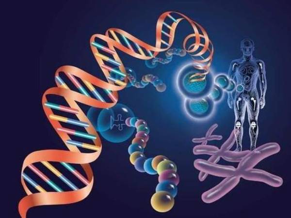 绵阳DNA亲子鉴定需要多少钱？