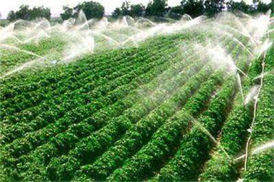 兰州/嘉峪关节水灌溉系统都有哪些？