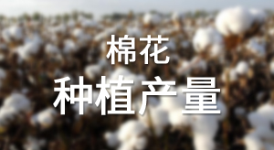 【苏州蓝戈链企】我国作为世界棉花消费国，在积极加强与其他重要棉花生产国合作