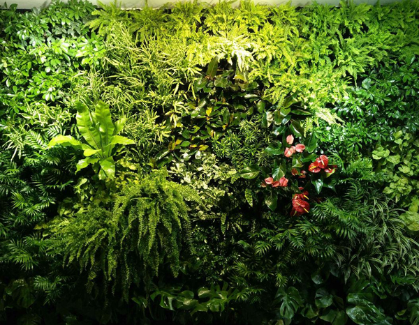 景观植物墙