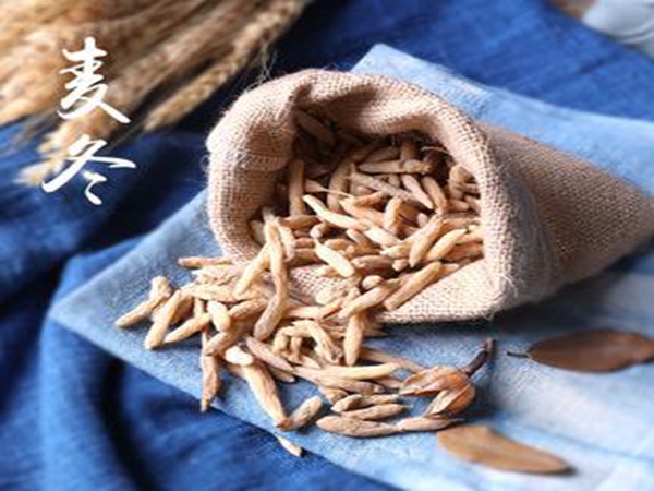 绵阳麦冬批发公司告诉您怎样栽培麦冬以及采收！