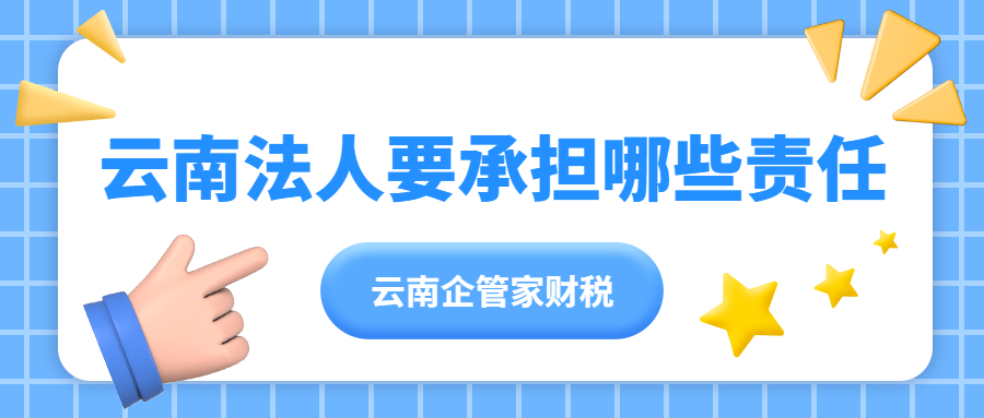 云南公司法人责任有哪些