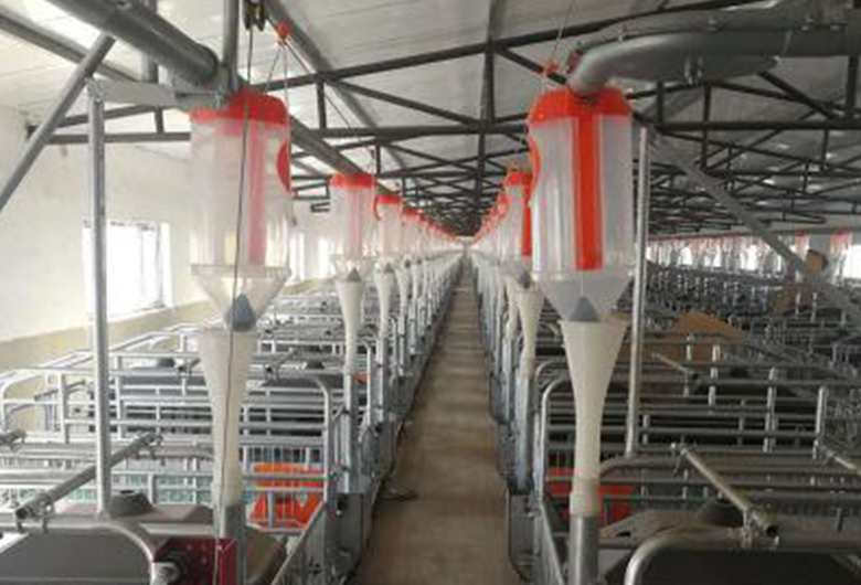 猪场养殖料线由传感器自动检测料槽中的料位。