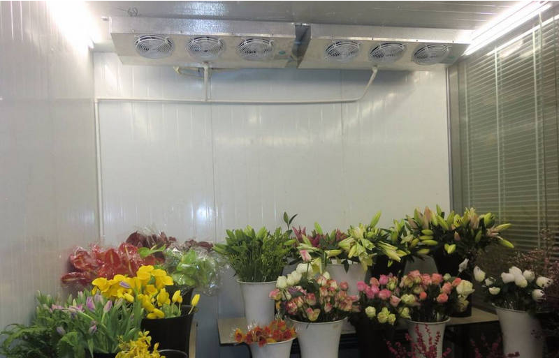 存放鲜花的冷库是怎样进行建造？