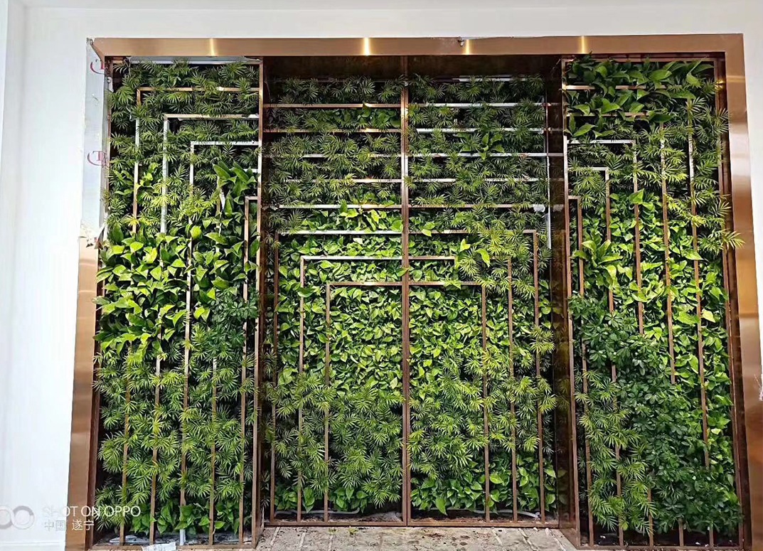 成都垂直绿化公司分析垂直绿化能让一幢楼变成绿植吗？