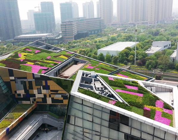 如何打造舒适的屋顶绿化花园？