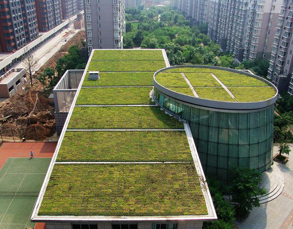 成都垂直绿化公司介绍屋顶绿化的三种形式
