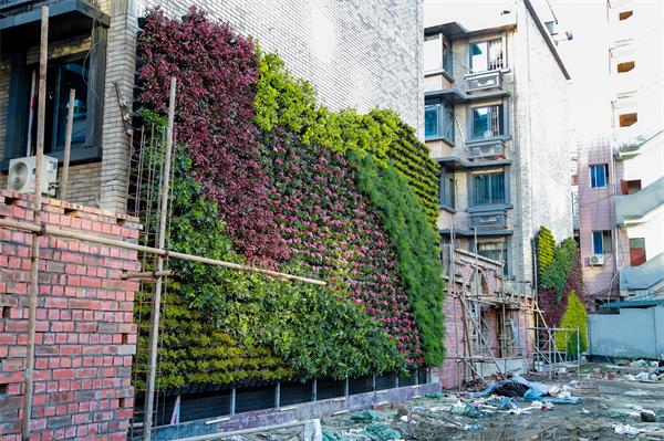 成都植物墙绿化公司