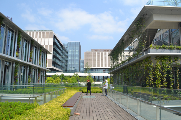重慶屋頂綠化設計