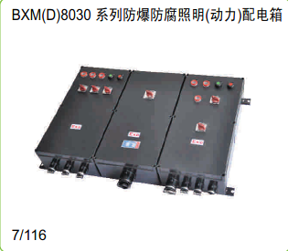 BXM(D)8030系列防爆照明（动力）配电箱