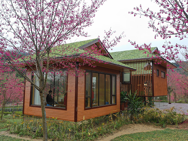 福州木屋厂家介绍哪些数据能展现木屋别墅优势？