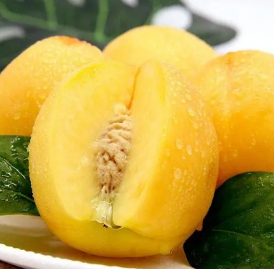 黄金王油桃