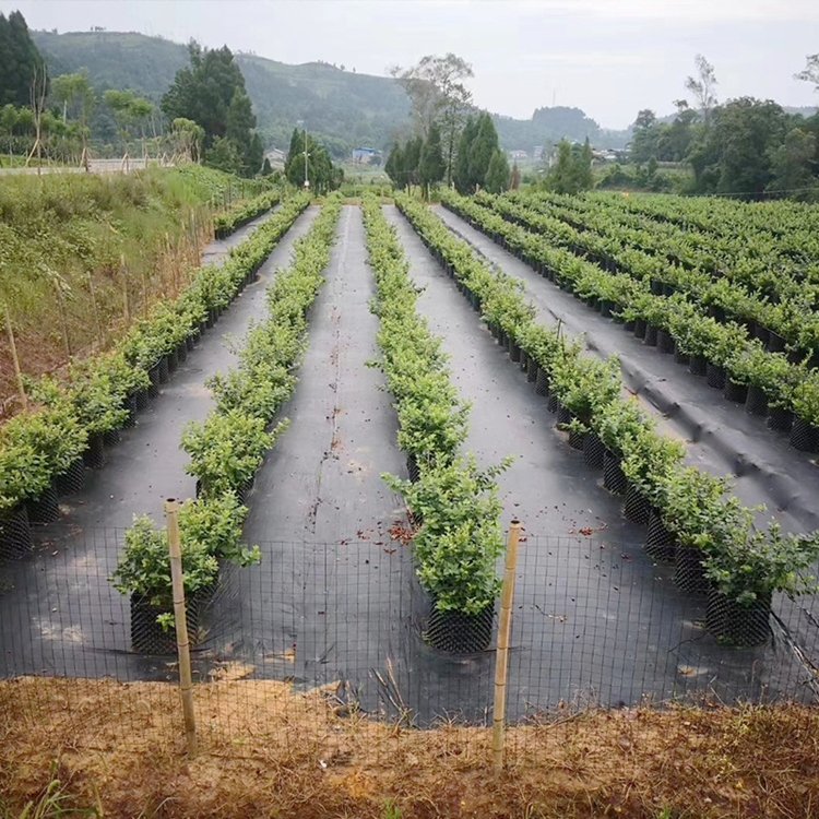 怎樣利用 防草布才能發(fā)揮更大優(yōu)勢呢？