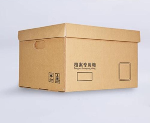 文件档案专用纸箱