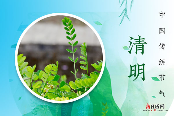 成都发电机厂家 成都发电机厂家