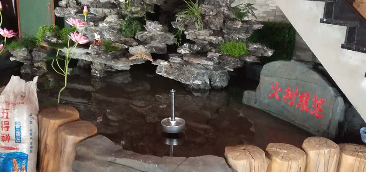 专业鱼池过滤