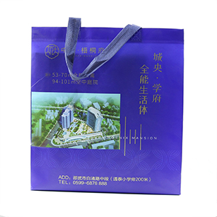 普通無紡布袋