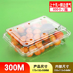 一次性打包盒