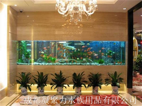 重庆大型观赏鱼缸定做厂家