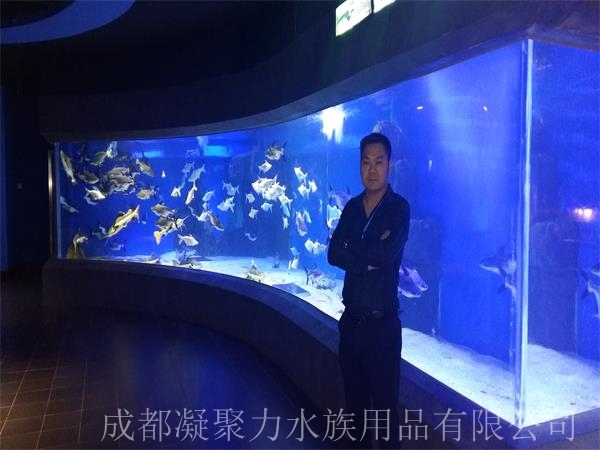 重庆鱼缸定做厂家浅谈：大型观赏鱼鱼缸养热带鱼注意什么？