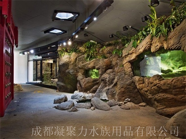 重庆生态雨林缸制作厂家