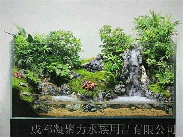 重庆雨林缸设计厂家