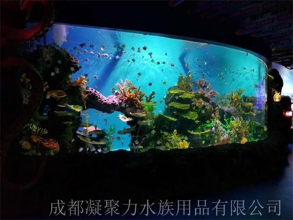 重庆海洋馆工程