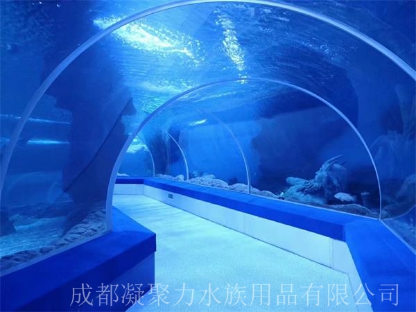 重庆海洋馆鱼缸制作