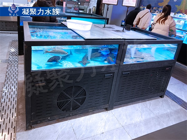 海鲜池厂家介绍海鲜制冷机有哪些原理结构呢？