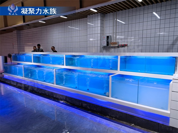 海鲜池厂家介绍如何选配海鲜池制冷机？