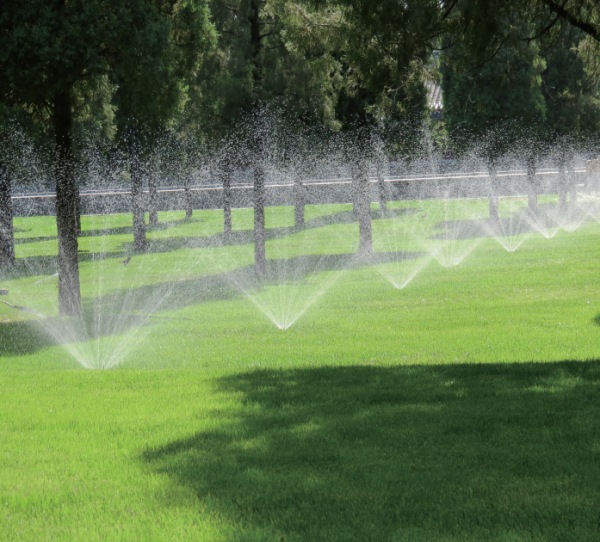 成都园林灌溉设备厂家介绍：如何给园林植物浇水更合理？