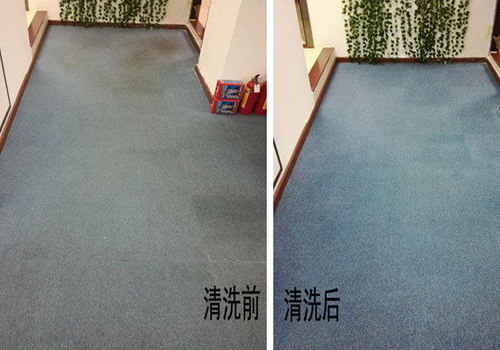 荔灣上門地毯清洗服務