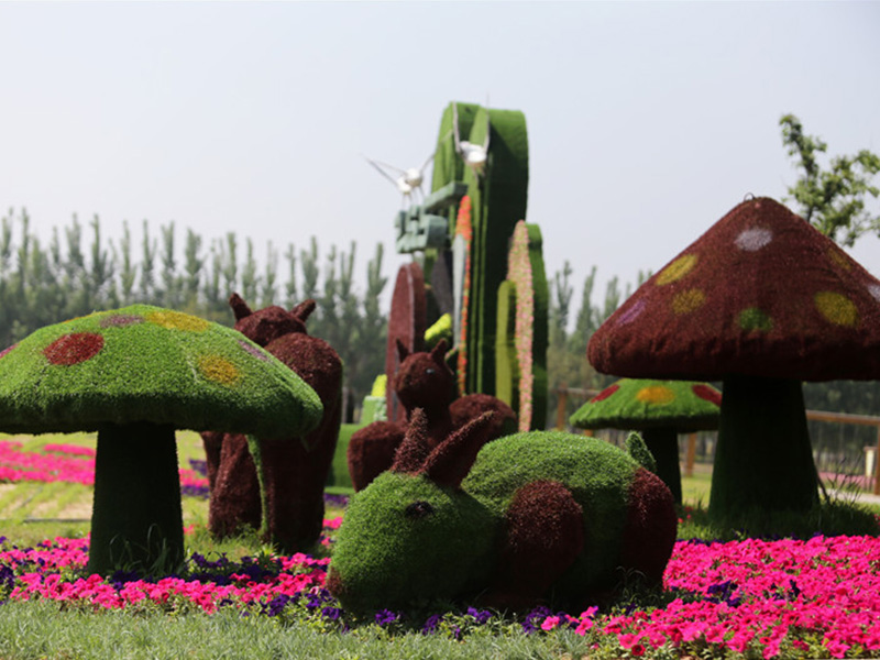 城市绿化中公园绿雕造型是用什么植物做成的