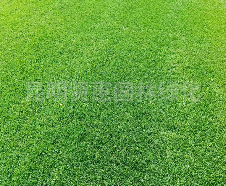 ļ桃花色综合影院,俺也去网,色七七影院,色七七电影