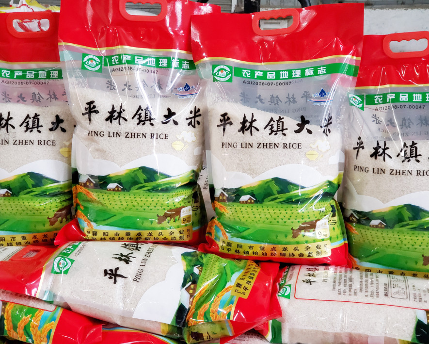 大米的秧苗培育
