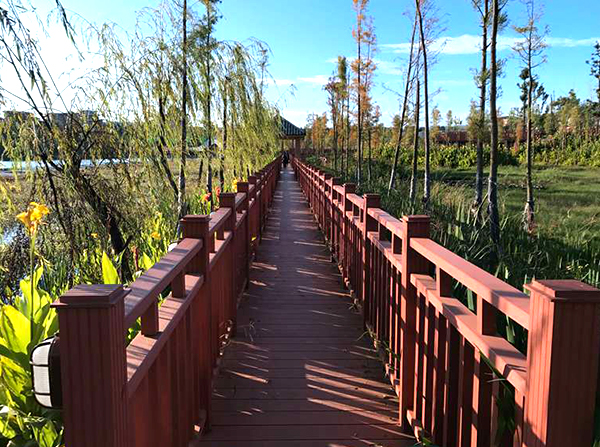 楚雄南华湿地公园