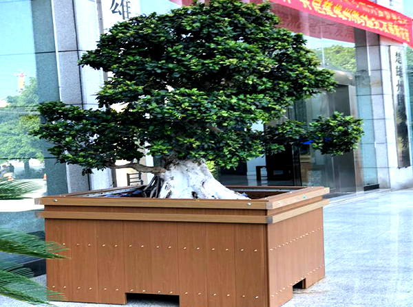 你知道城市美化选用云南塑木花箱的原因是什么吗?