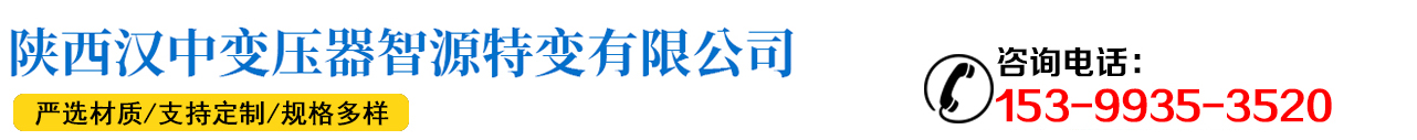 漢中智源特變廠_Logo