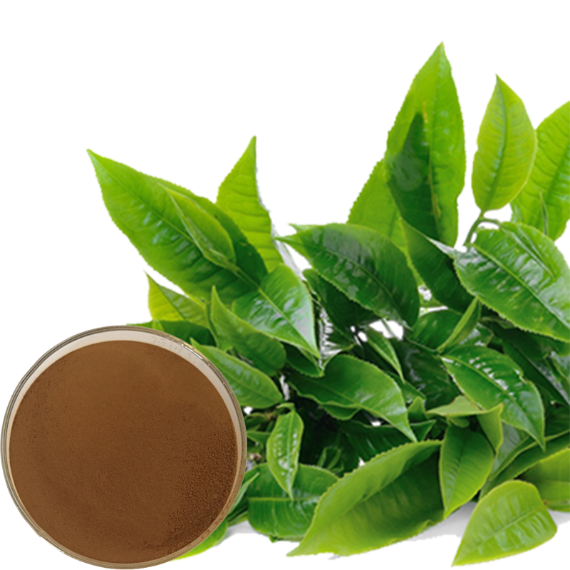Tea Polyphenols 98%  T2 Green Tea Extract Powder 