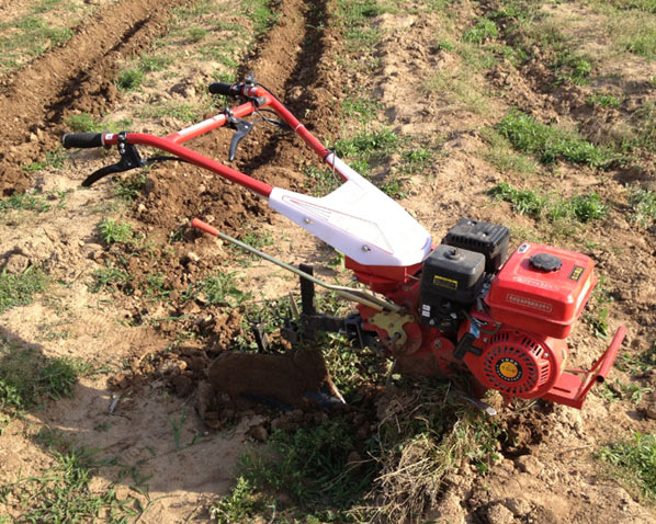 Ditching with micro cultivator
