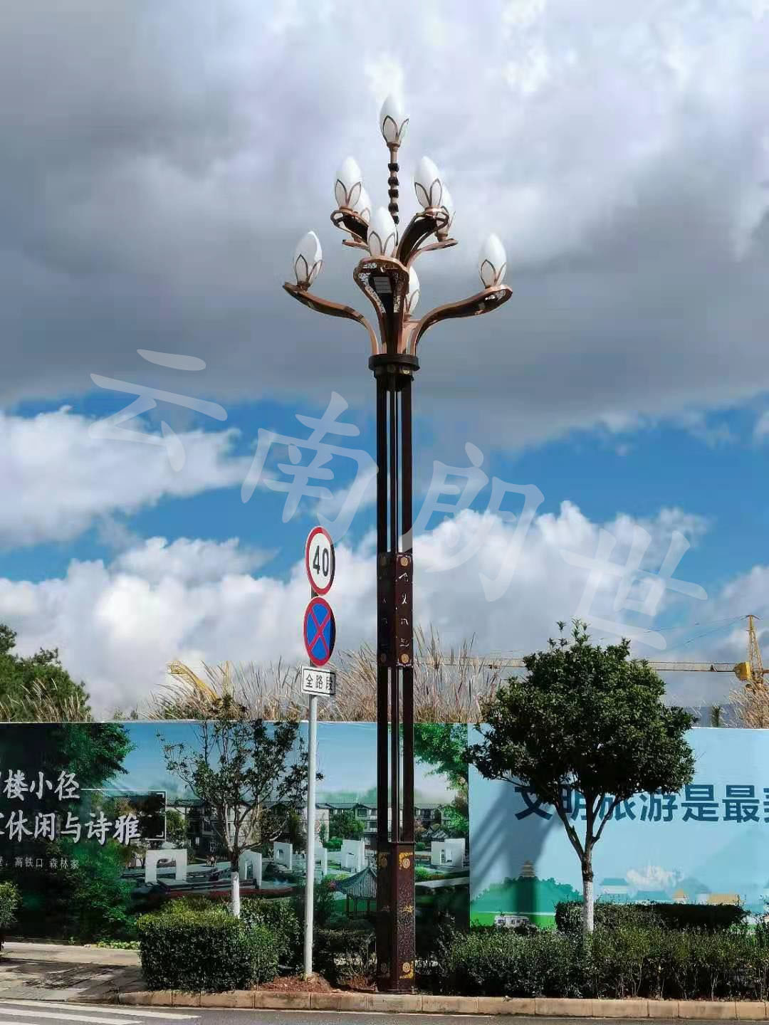 丽江市政道路玉兰灯安装拍摄