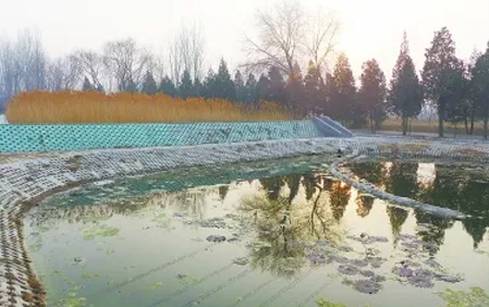 人工湿地生活污水处理技术