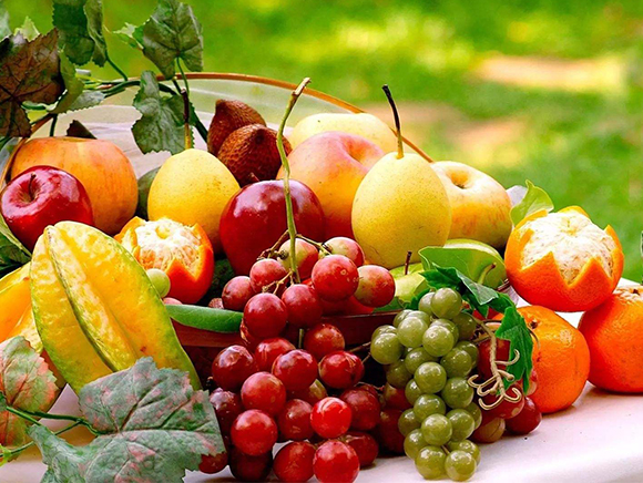 水果有機肥案例