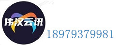 伟汉云讯优化