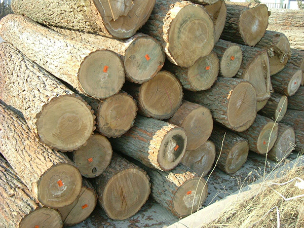 贵州木材加工厂厂家批发