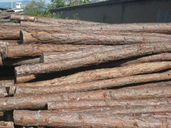 贵州木材加工厂家出售