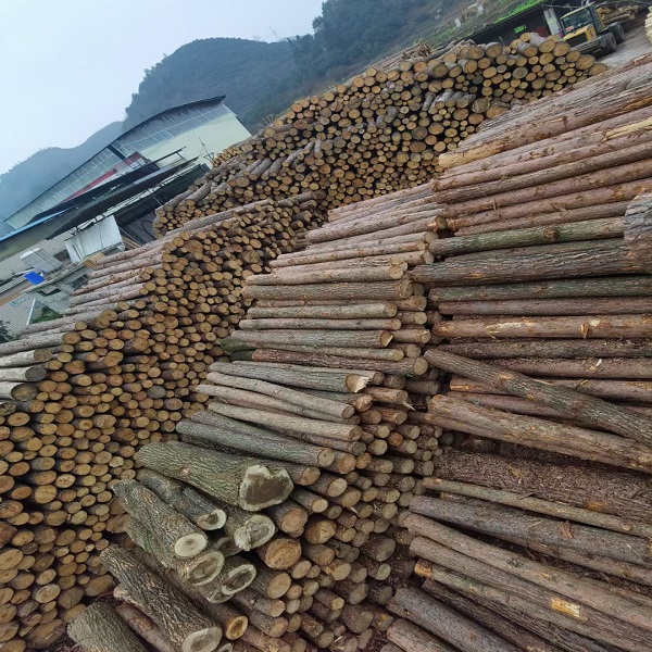 贵州木材加工批发