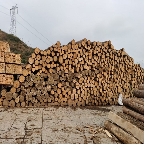 贵阳木材加工厂木材市场